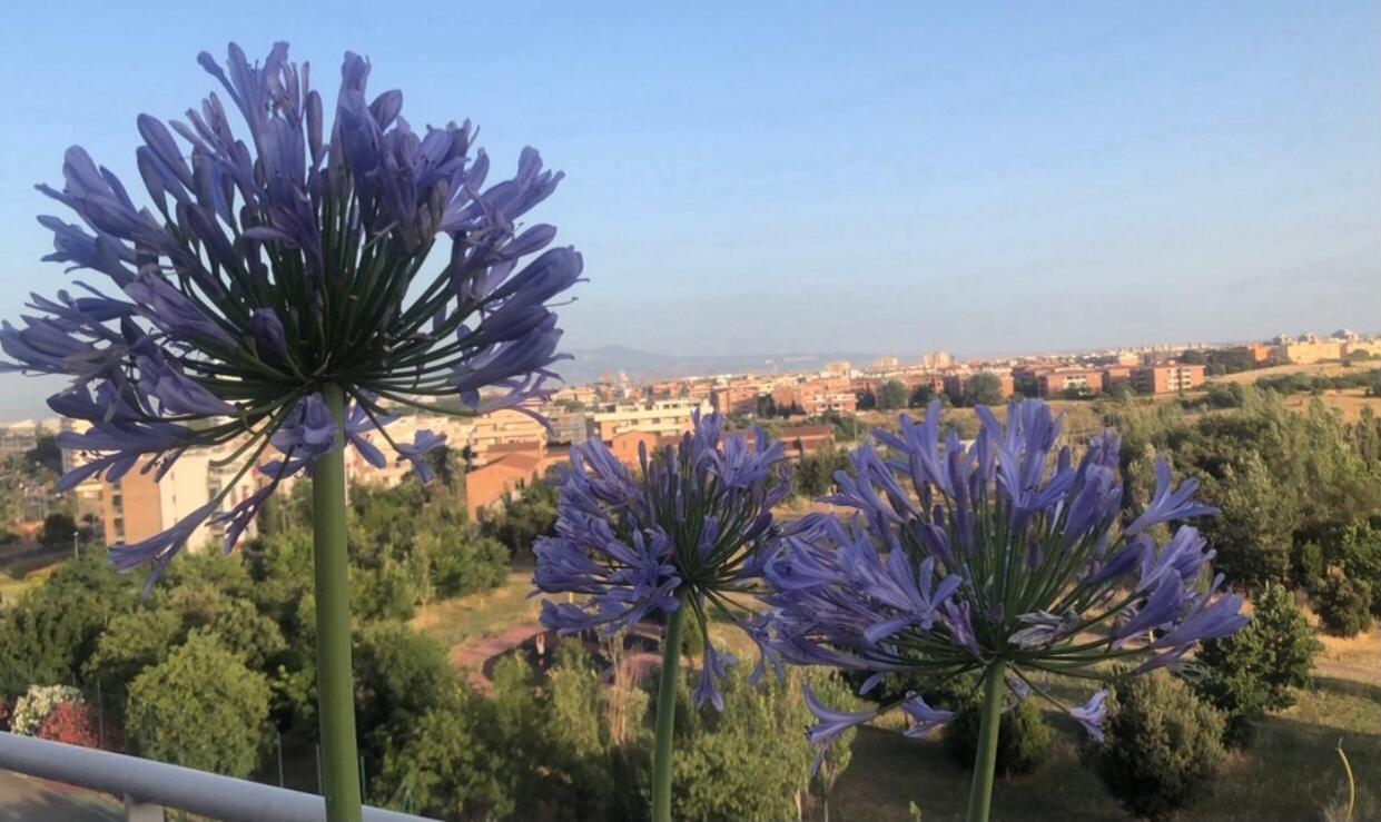 La Dolce Dimora Degli Angeli * Rom
